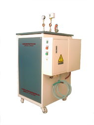 電熱蒸汽發生器