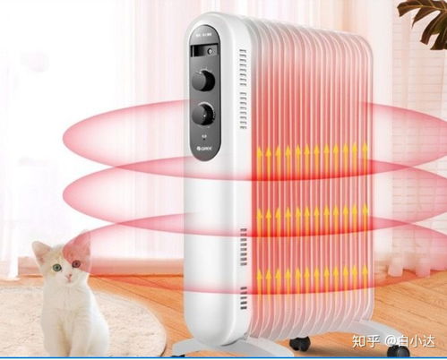 取暖器 電暖氣如何選擇 電熱油汀 電熱膜 暖風機那款取暖器比較好 2021取暖器推薦