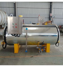 諸城鼎興鞋廠 電加熱 蒸汽加熱硫化罐 廠家直銷