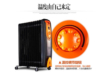 澳柯瑪(AUCMA)電熱油汀取暖器電暖器電暖氣NY22D322 13片