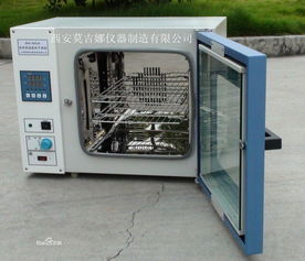 電熱恒溫鼓風干燥箱
